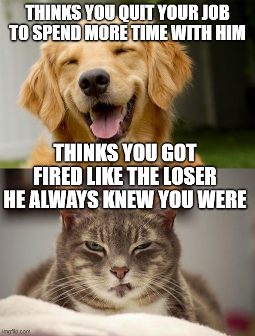 pets while you're working from home | THINKS YOU QUIT YOUR JOB TO SPEND MORE TIME WITH HIM; THINKS YOU GOT FIRED LIKE THE LOSER HE ALWAYS KNEW YOU WERE | image tagged in happy dog,smug cat | made w/ Imgflip meme maker