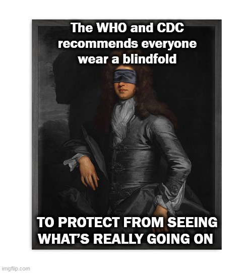 See no evil | The WHO and CDC recommends everyone wear a blindfold; TO PROTECT FROM SEEING WHAT’S REALLY GOING ON | image tagged in covid-19,coronavirus | made w/ Imgflip meme maker