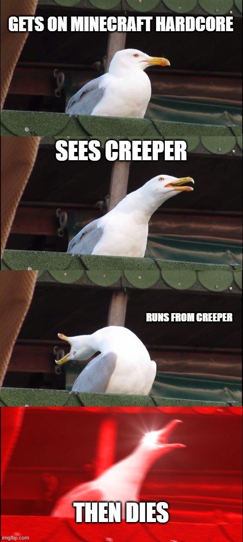 Inhaling Seagull | GETS ON MINECRAFT HARDCORE; SEES CREEPER; RUNS FROM CREEPER; THEN DIES | image tagged in memes,inhaling seagull | made w/ Imgflip meme maker