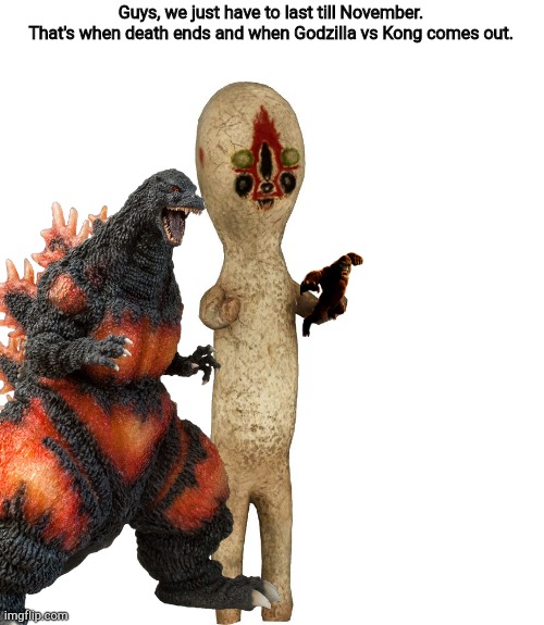 Guys, we just have to last till November.
That's when death ends and when Godzilla vs Kong comes out. | image tagged in scp 173 | made w/ Imgflip meme maker