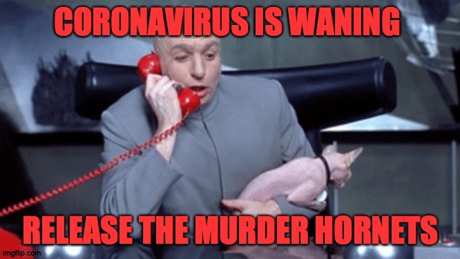 Dr Evil | image tagged in coronavirus | made w/ Imgflip meme maker