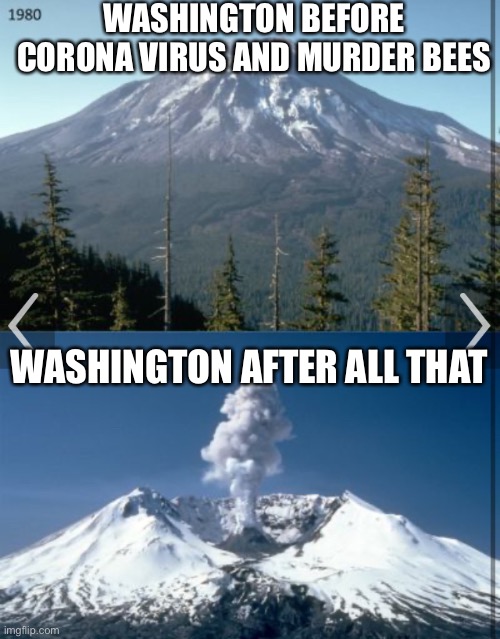 Fun fact that is a before after picture of Mount Saint Helens which is located in Washington | WASHINGTON BEFORE CORONA VIRUS AND MURDER BEES; WASHINGTON AFTER ALL THAT | image tagged in murder hornets,coronavirus,volcano | made w/ Imgflip meme maker
