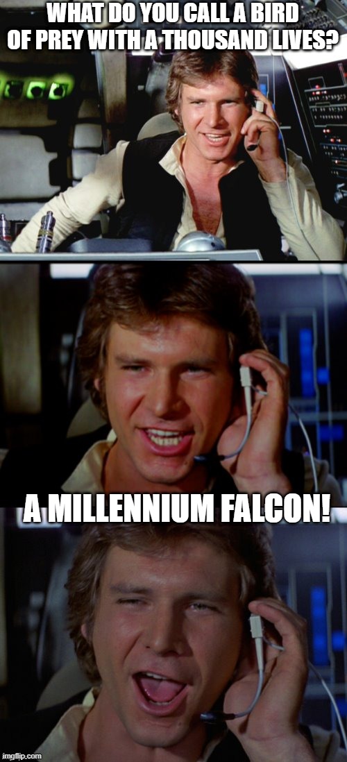 Very Punny Han | WHAT DO YOU CALL A BIRD OF PREY WITH A THOUSAND LIVES? A MILLENNIUM FALCON! | image tagged in bad pun han solo | made w/ Imgflip meme maker