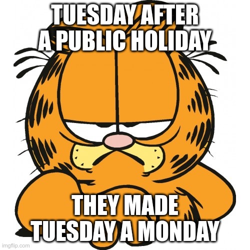 Garfield Imgflip
