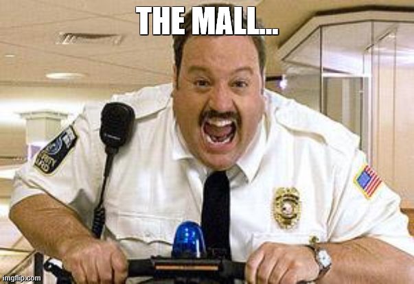 Mall Cop | THE MALL... | image tagged in mall cop | made w/ Imgflip meme maker