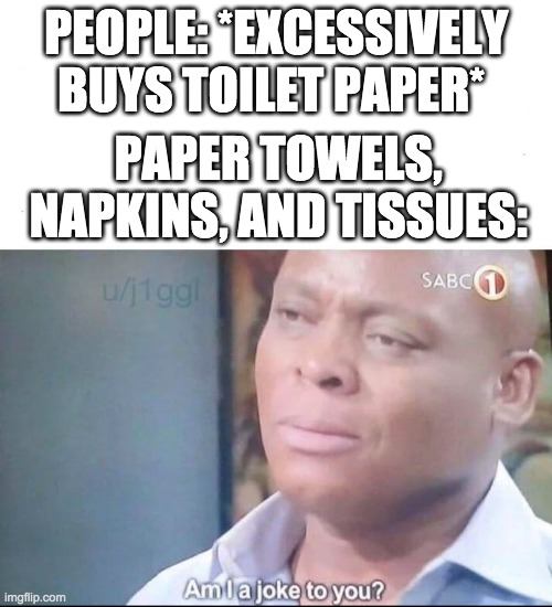 am I a joke to you | PEOPLE: *EXCESSIVELY BUYS TOILET PAPER*; PAPER TOWELS, NAPKINS, AND TISSUES: | image tagged in am i a joke to you | made w/ Imgflip meme maker