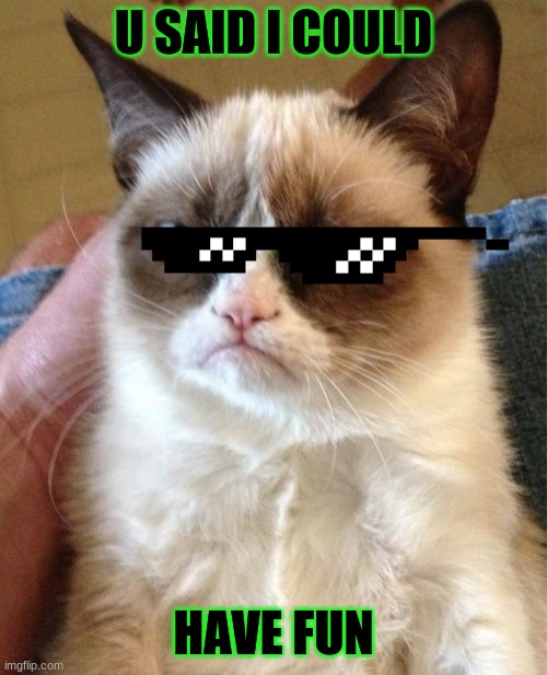 sadness | U SAID I COULD; HAVE FUN | image tagged in memes,grumpy cat | made w/ Imgflip meme maker