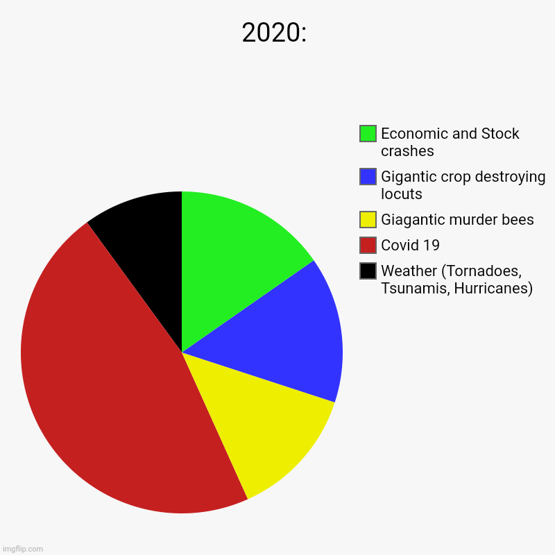 2020 is just really bad | 2020: | Weather (Tornadoes, Tsunamis, Hurricanes), Covid 19, Giagantic murder bees, Gigantic crop destroying locuts, Economic and Stock cras | image tagged in charts,pie charts | made w/ Imgflip chart maker