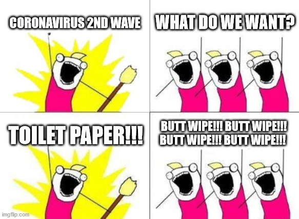 2nd Wave | CORONAVIRUS 2ND WAVE; WHAT DO WE WANT? BUTT WIPE!!! BUTT WIPE!!! BUTT WIPE!!! BUTT WIPE!!! TOILET PAPER!!! | image tagged in memes,what do we want | made w/ Imgflip meme maker