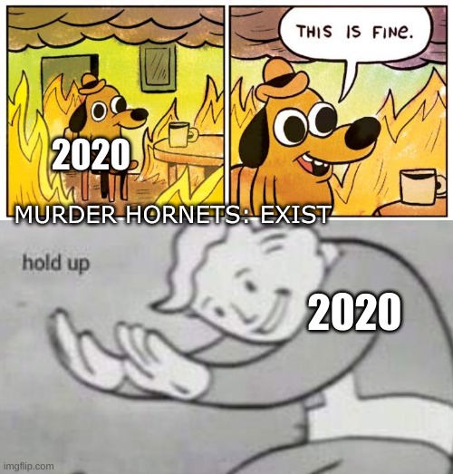 Hornet | 2020; MURDER HORNETS: EXIST; 2020 | image tagged in memes,this is fine,fallout hold up | made w/ Imgflip meme maker