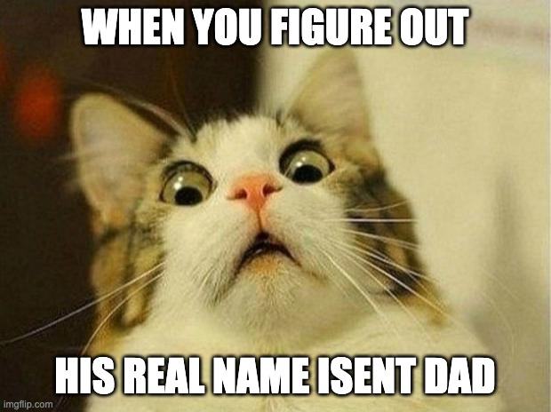 Scared Cat Meme | WHEN YOU FIGURE OUT; HIS REAL NAME ISENT DAD | image tagged in memes,scared cat | made w/ Imgflip meme maker