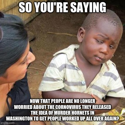 Yes, I said that. | SO YOU'RE SAYING; NOW THAT PEOPLE ARE NO LONGER WORRIED ABOUT THE CORNOVIRUS THEY RELEASED THE IDEA OF MURDER HORNETS IN WASHINGTON TO GET PEOPLE WORKED UP ALL OVER AGAIN? | image tagged in memes,third world skeptical kid | made w/ Imgflip meme maker