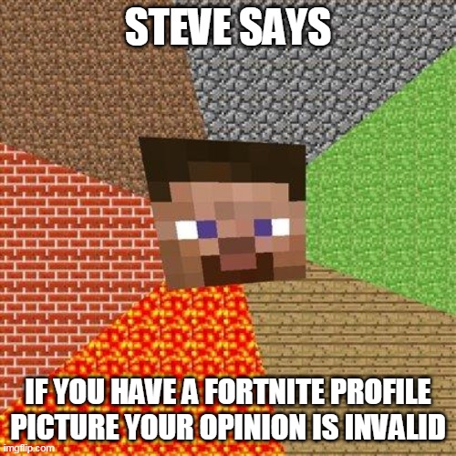 Minecraft Steve | STEVE SAYS; IF YOU HAVE A FORTNITE PROFILE PICTURE YOUR OPINION IS INVALID | image tagged in minecraft steve | made w/ Imgflip meme maker
