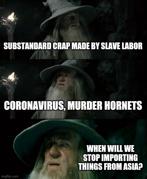 Confused Gandalf Meme | SUBSTANDARD CRAP MADE BY SLAVE LABOR; CORONAVIRUS, MURDER HORNETS; WHEN WILL WE STOP IMPORTING THINGS FROM ASIA? | image tagged in memes,confused gandalf | made w/ Imgflip meme maker