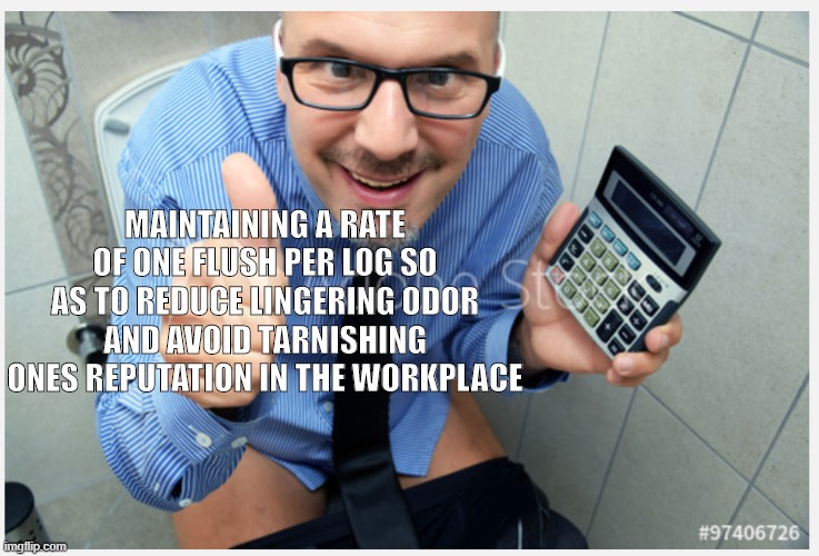 The Office Poo | MAINTAINING A RATE OF ONE FLUSH PER LOG SO AS TO REDUCE LINGERING ODOR AND AVOID TARNISHING ONES REPUTATION IN THE WORKPLACE | image tagged in work,office,workplace,toilet,toilet humor,poo | made w/ Imgflip meme maker