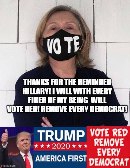 Thanks Hillary!  I will Vote RED! Remove Every Democrat! | THANKS FOR THE REMINDER HILLARY! I WILL WITH EVERY FIBER OF MY BEING  WILL VOTE RED! REMOVE EVERY DEMOCRAT! | image tagged in stupid liberals,democrats,hillary clinton | made w/ Imgflip meme maker