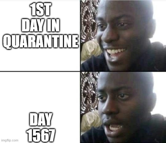 1ST DAY IN QUARANTINE; DAY 1567 | image tagged in funny memes | made w/ Imgflip meme maker