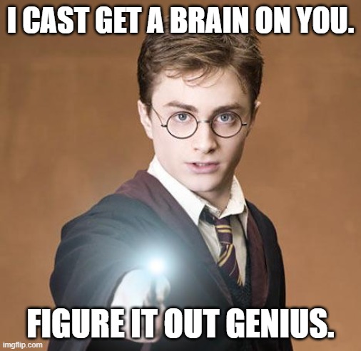 harry potter casting a spell | I CAST GET A BRAIN ON YOU. FIGURE IT OUT GENIUS. | image tagged in harry potter casting a spell | made w/ Imgflip meme maker