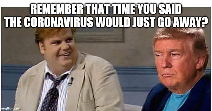 Remember that time | REMEMBER THAT TIME YOU SAID THE CORONAVIRUS WOULD JUST GO AWAY? | image tagged in remember that time | made w/ Imgflip meme maker