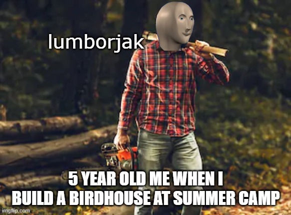 lumborjak; 5 YEAR OLD ME WHEN I BUILD A BIRDHOUSE AT SUMMER CAMP | image tagged in stonks | made w/ Imgflip meme maker