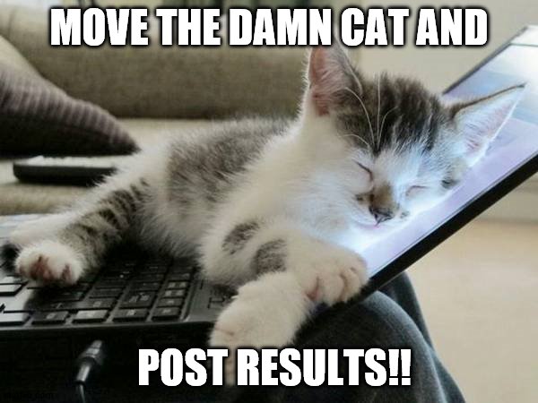 cat sleep computer | MOVE THE DAMN CAT AND; POST RESULTS!! | image tagged in cat sleep computer | made w/ Imgflip meme maker