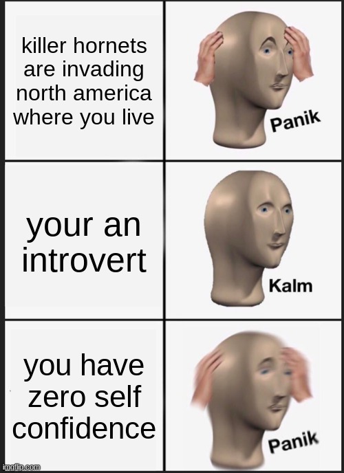 oh wait i'm describing myself (ran out of space in the fun section) | killer hornets are invading north america where you live; your an introvert; you have zero self confidence | image tagged in memes,panik kalm panik | made w/ Imgflip meme maker