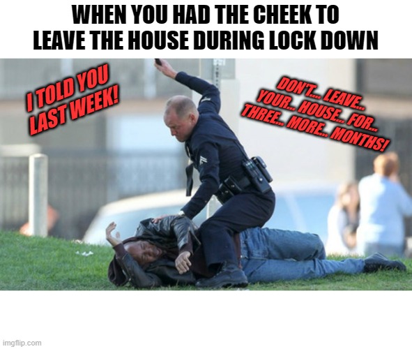 And you get a syllable beating. | WHEN YOU HAD THE CHEEK TO LEAVE THE HOUSE DURING LOCK DOWN; I TOLD YOU LAST WEEK! DON'T.... LEAVE... YOUR... HOUSE... FOR... THREE... MORE... MONTHS! | image tagged in cop beating,nixieknox,lockdown,memes,covid-19,don't get caught slippin | made w/ Imgflip meme maker