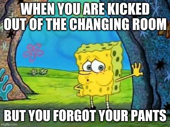 Spongebob | WHEN YOU ARE KICKED OUT OF THE CHANGING ROOM; BUT YOU FORGOT YOUR PANTS | image tagged in spongebob | made w/ Imgflip meme maker