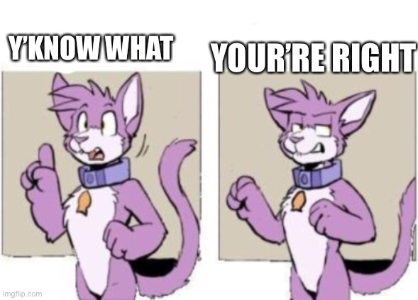 Furry hold on | Y’KNOW WHAT YOUR’RE RIGHT | image tagged in furry hold on | made w/ Imgflip meme maker