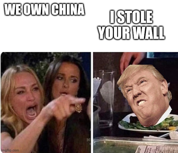 Lady screams at cat | WE OWN CHINA; I STOLE YOUR WALL | image tagged in lady screams at cat | made w/ Imgflip meme maker
