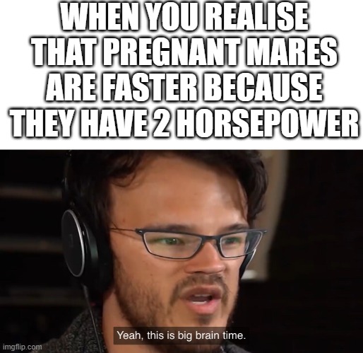 Yeah, this is big brain time | WHEN YOU REALISE THAT PREGNANT MARES ARE FASTER BECAUSE THEY HAVE 2 HORSEPOWER | image tagged in yeah this is big brain time | made w/ Imgflip meme maker