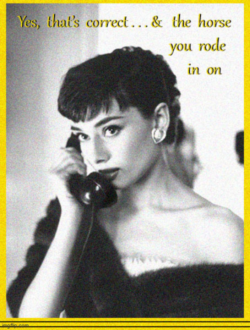 image tagged in fu,audrey hepburn | made w/ Imgflip meme maker