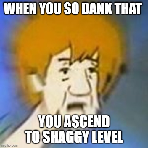 Shaggy Dank Meme | WHEN YOU SO DANK THAT; YOU ASCEND TO SHAGGY LEVEL | image tagged in shaggy dank meme | made w/ Imgflip meme maker