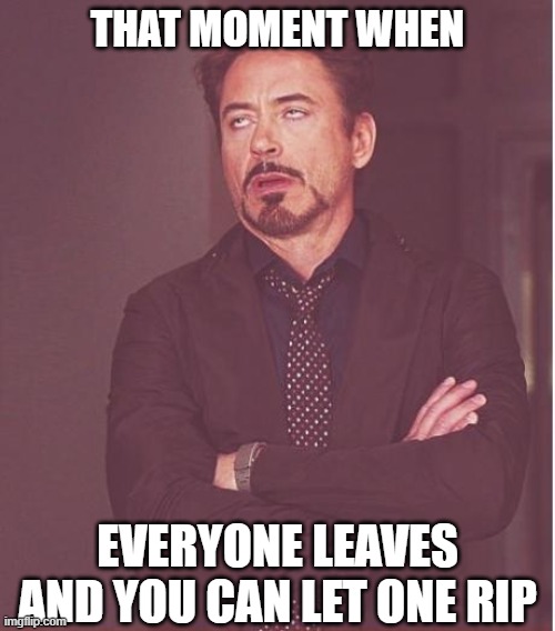 Keeping it in can get painful | THAT MOMENT WHEN; EVERYONE LEAVES AND YOU CAN LET ONE RIP | image tagged in memes,face you make robert downey jr,fart,farts,embarrassing,funny | made w/ Imgflip meme maker