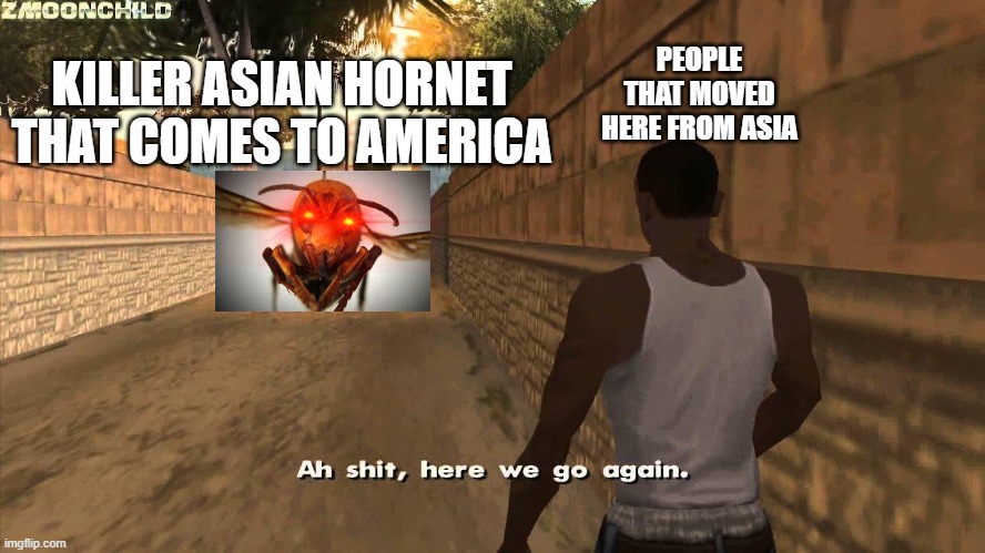 Here we go again | PEOPLE THAT MOVED HERE FROM ASIA; KILLER ASIAN HORNET THAT COMES TO AMERICA | image tagged in here we go again | made w/ Imgflip meme maker
