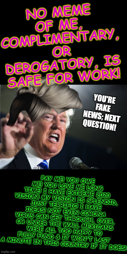 donald trump | NO MEME OF ME, COMPLIMENTARY, OR DEROGATORY, IS SAFE FOR WORK! YOU'RE FAKE NEWS; NEXT QUESTION! PAY ME! YOU OWE ME! YOU LOVE ME LONG TIME! I HAVE EXTREME 2020 VISION! MY VISION IS SPLENDID, JUST TERRIFIC! I HAVE IDEAS! NOT EVEN CORONA VIRUS CAN GET THROUGH, OVER, OR UNDER THE WALL MEXICANS WERE ALL TOO HAPPY TO FULLY FUND & IT WON'T LAST A MINUTE IN THIS COUNTRY IF IT DOES! | image tagged in donald trump | made w/ Imgflip meme maker