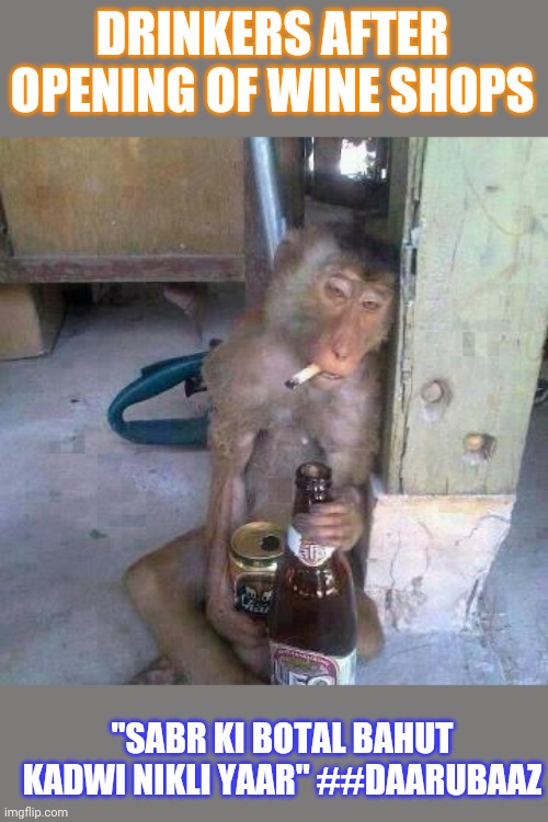 Drunken Ass monkey | DRINKERS AFTER OPENING OF WINE SHOPS; "SABR KI BOTAL BAHUT KADWI NIKLI YAAR" ##DAARUBAAZ | image tagged in drunken ass monkey | made w/ Imgflip meme maker