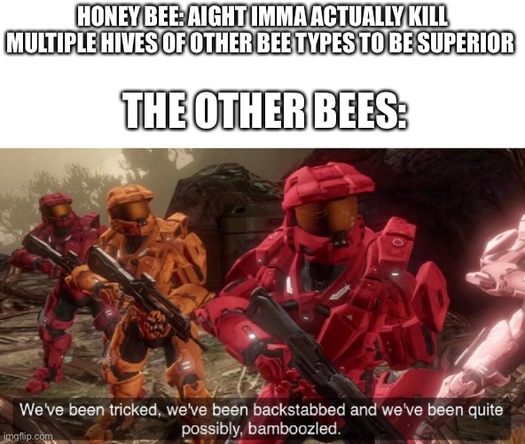 HONEY BEE: AIGHT IMMA ACTUALLY KILL MULTIPLE HIVES OF OTHER BEE TYPES TO BE SUPERIOR THE OTHER BEES: | image tagged in we have ben bamboozled halo | made w/ Imgflip meme maker