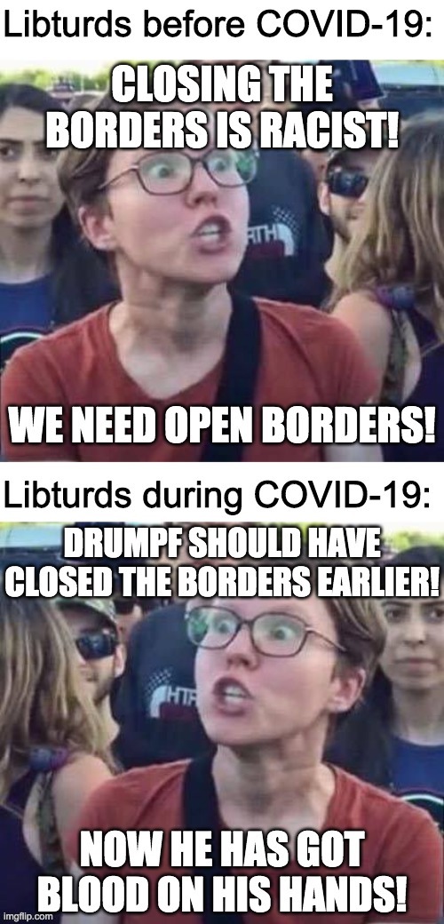 The DemonRats support open borders for the same reason they oppose voter ID laws; they just want more votes | image tagged in funny,memes,politics,angry liberal | made w/ Imgflip meme maker