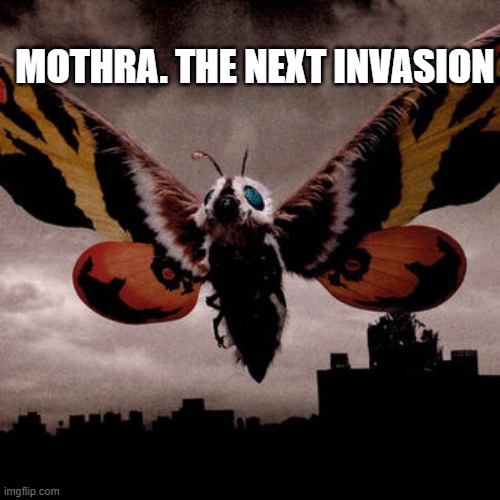 Mothra. The next invasion. | MOTHRA. THE NEXT INVASION | image tagged in mothra | made w/ Imgflip meme maker