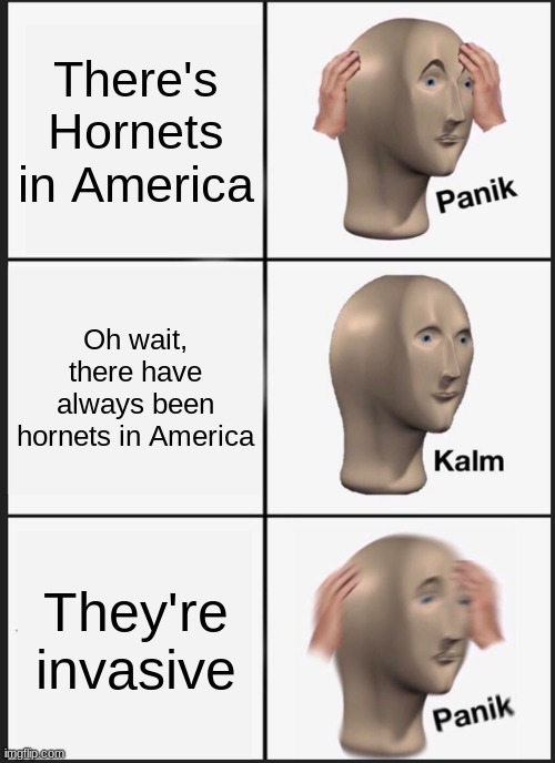 Panik Kalm Panik | There's Hornets in America; Oh wait, there have always been hornets in America; They're invasive | image tagged in memes,panik kalm panik | made w/ Imgflip meme maker