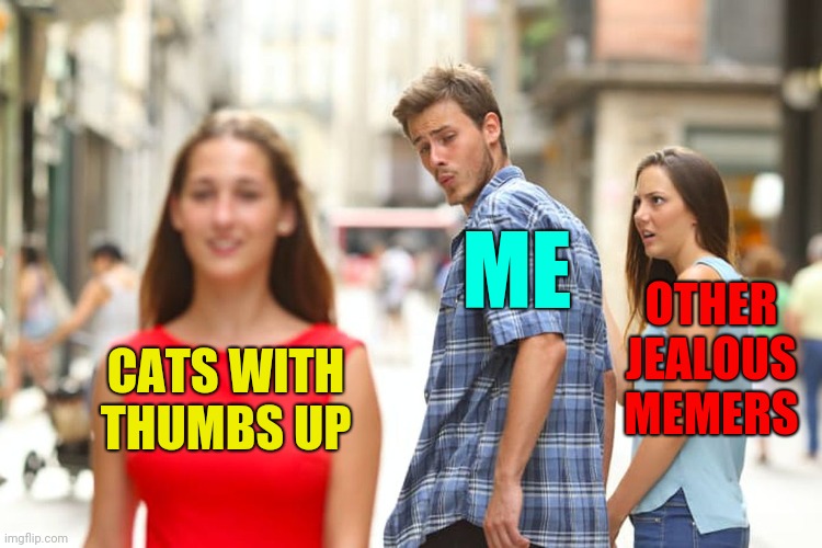Distracted Boyfriend Meme | CATS WITH THUMBS UP ME OTHER JEALOUS MEMERS | image tagged in memes,distracted boyfriend | made w/ Imgflip meme maker