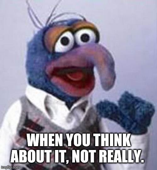 gonzo | WHEN YOU THINK ABOUT IT, NOT REALLY. | image tagged in gonzo | made w/ Imgflip meme maker