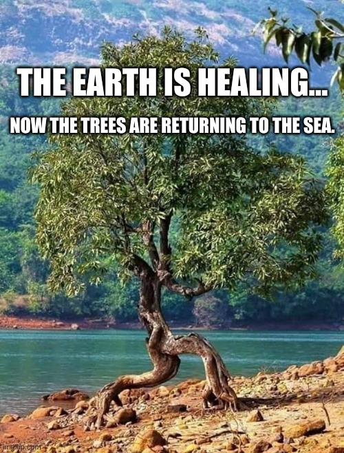 The Earth is Healing | THE EARTH IS HEALING... NOW THE TREES ARE RETURNING TO THE SEA. | image tagged in the earth is healing | made w/ Imgflip meme maker