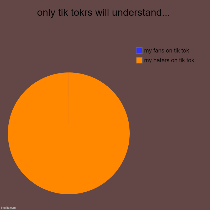 Only tik tokers will understand... | only tik tokrs will understand... | my haters on tik tok, my fans on tik tok | image tagged in charts,pie charts | made w/ Imgflip chart maker