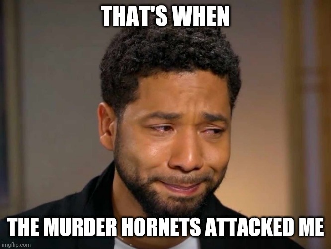 True Story... | THAT'S WHEN; THE MURDER HORNETS ATTACKED ME | image tagged in murder hornet,jussie smollett,funny memes,memes,funny | made w/ Imgflip meme maker