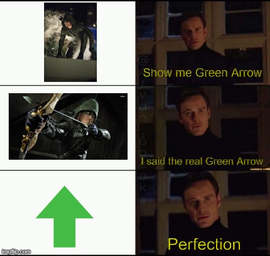 show me the real | Show me Green Arrow; I said the real Green Arrow; Perfection | image tagged in show me the real | made w/ Imgflip meme maker
