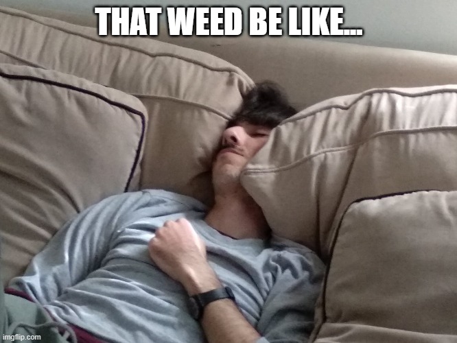 That weed be like | THAT WEED BE LIKE... | image tagged in weed,sleep,dank,passout,funny,strong | made w/ Imgflip meme maker