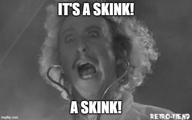 Young Frankenstein IT'S ALIVE Blank gif | IT'S A SKINK! A SKINK! | image tagged in young frankenstein it's alive blank gif | made w/ Imgflip meme maker