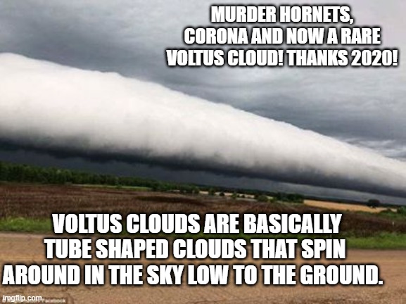 Murder Hornets, Corona and now a rare voltus cloud. | MURDER HORNETS, CORONA AND NOW A RARE VOLTUS CLOUD! THANKS 2020! VOLTUS CLOUDS ARE BASICALLY TUBE SHAPED CLOUDS THAT SPIN AROUND IN THE SKY LOW TO THE GROUND. | image tagged in weather,clouds | made w/ Imgflip meme maker